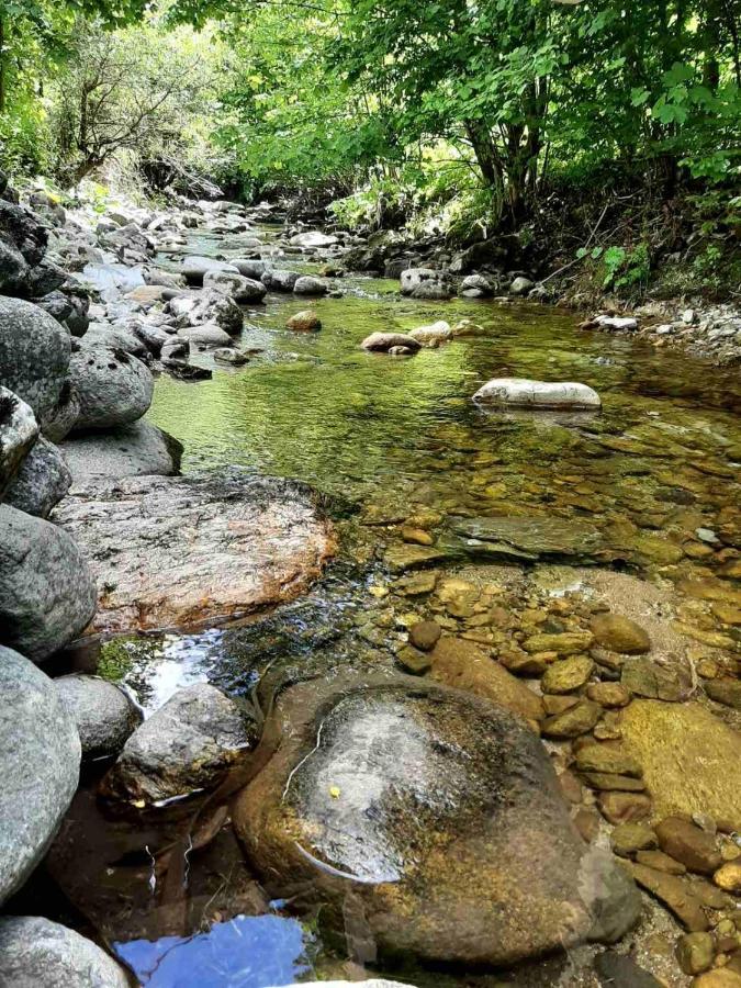 Resort Biela Skala - Chata Chopok Jasna Juh Bystra Bagian luar foto
