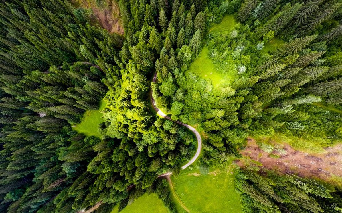 Resort Biela Skala - Chata Chopok Jasna Juh Bystra Bagian luar foto